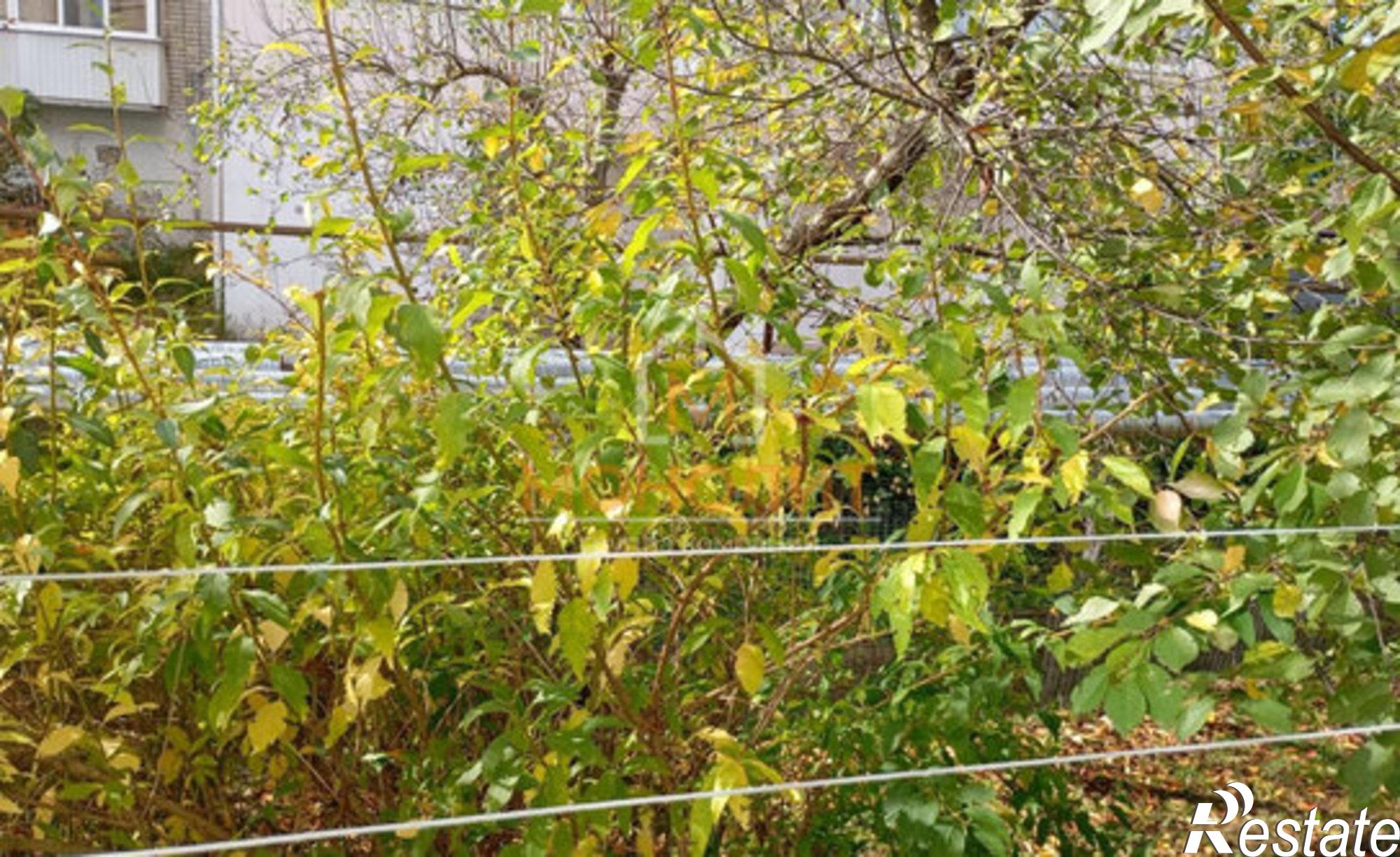 Купить квартиру за 6 200 000 рублей на улица Ярославского, 104Г