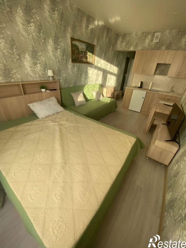 1-комн квартира ул Рябиновая, 2В,  д. 2В