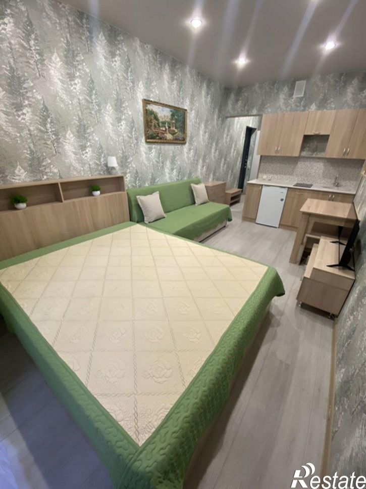 1-комн квартира ул Рябиновая, 2В,  д. 2В