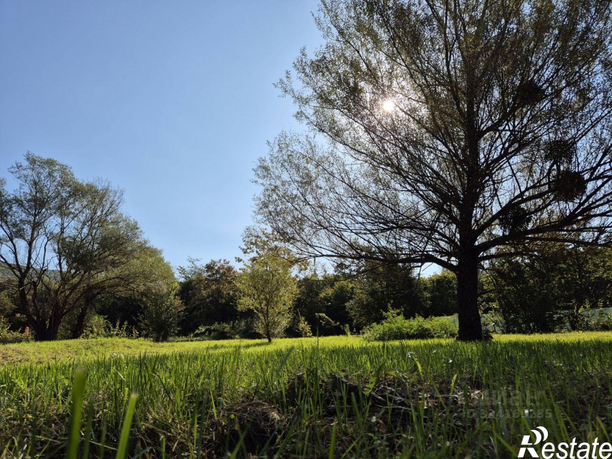 Купить землю, земельный участок за 4 750 000 рублей на ул Таманская, 39