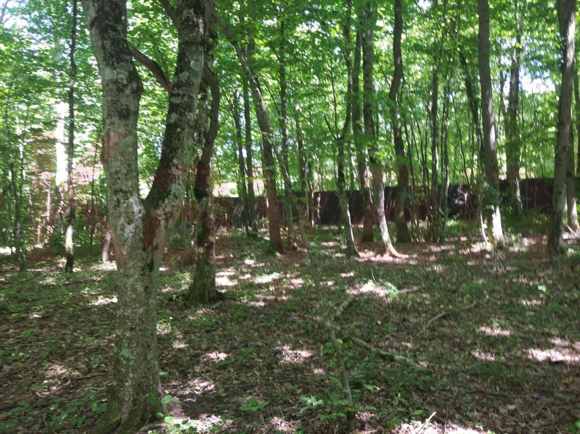 Купить землю, земельный участок за 33 000 000 рублей на Горячий Ключ