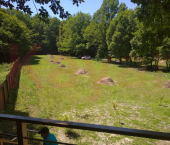 земля 100 сот Горячий Ключ